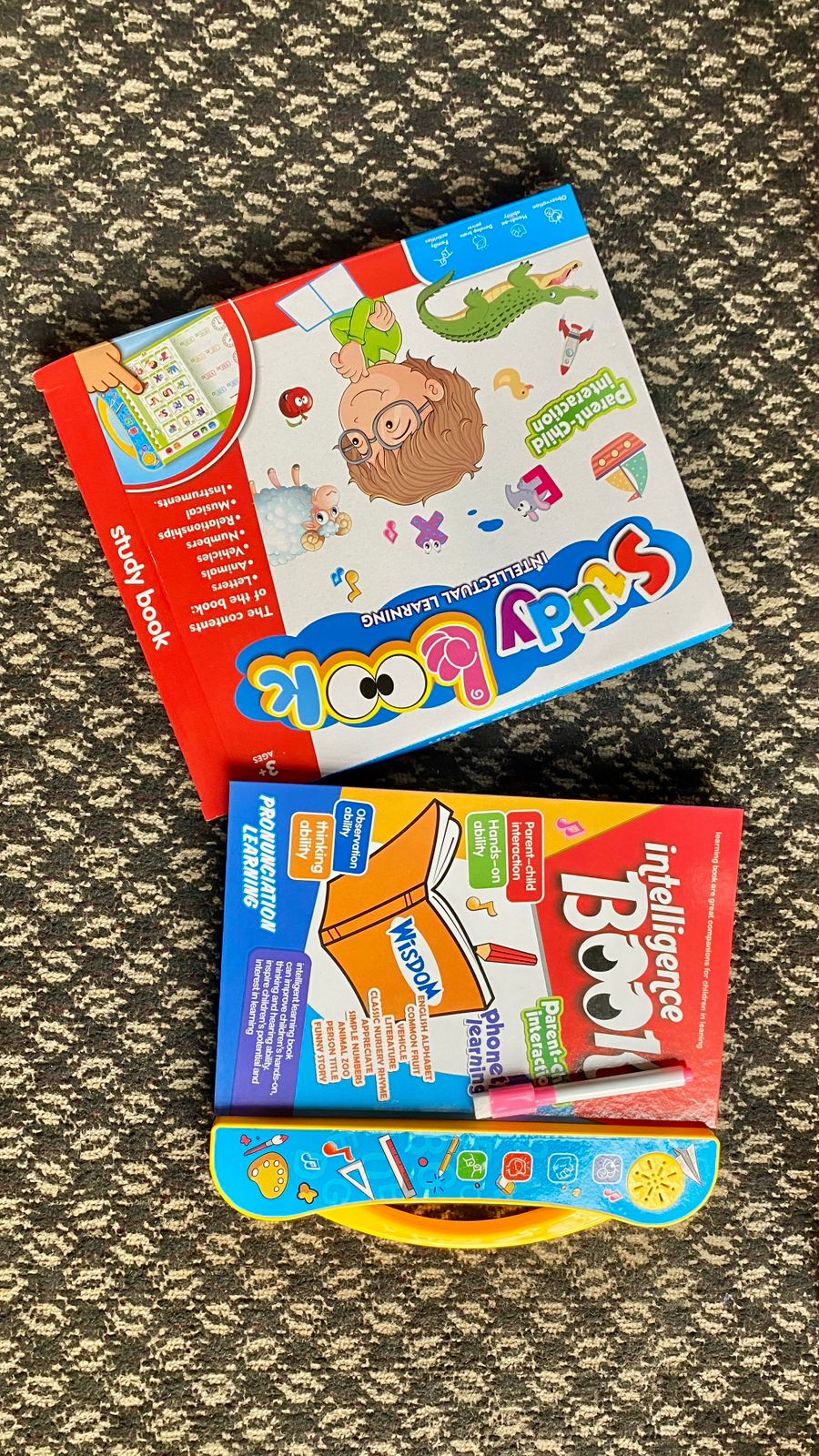 Intelligence Book (Preschool Educational Toys)
